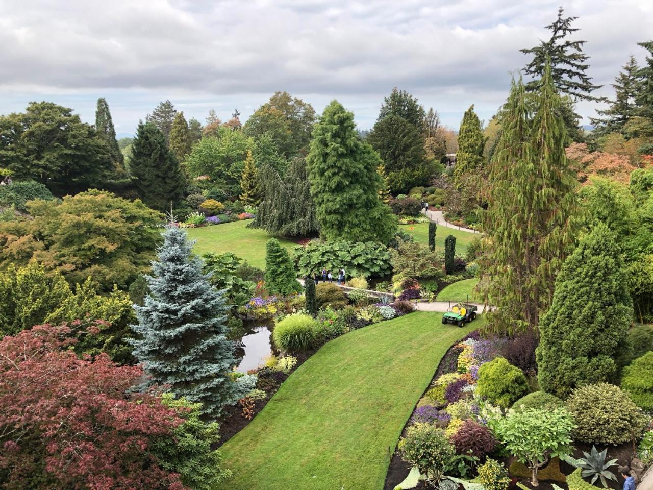 Cozy Bedrooms Guest House Vancouver Bagian luar foto